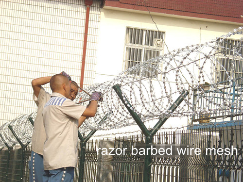 Razor Barbed Wire Mesh Fence BD-09
