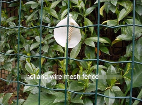 Holland Wire Mesh Fence BD-01