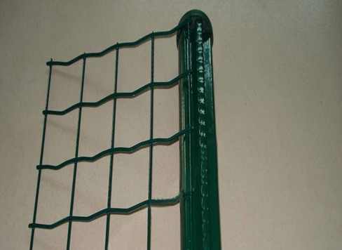 PVC Holland Wire Netting BD-02