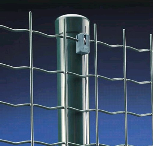 Holland Wire Mesh Fence BD-04