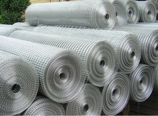 Galvanized Welded Wire Mesh BD-02
