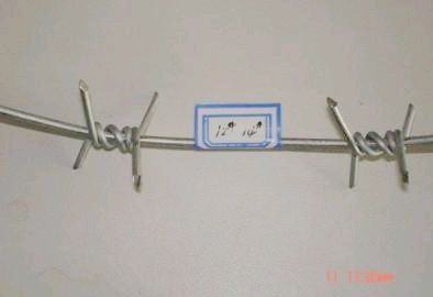  Barbed Iron Wire BD-02