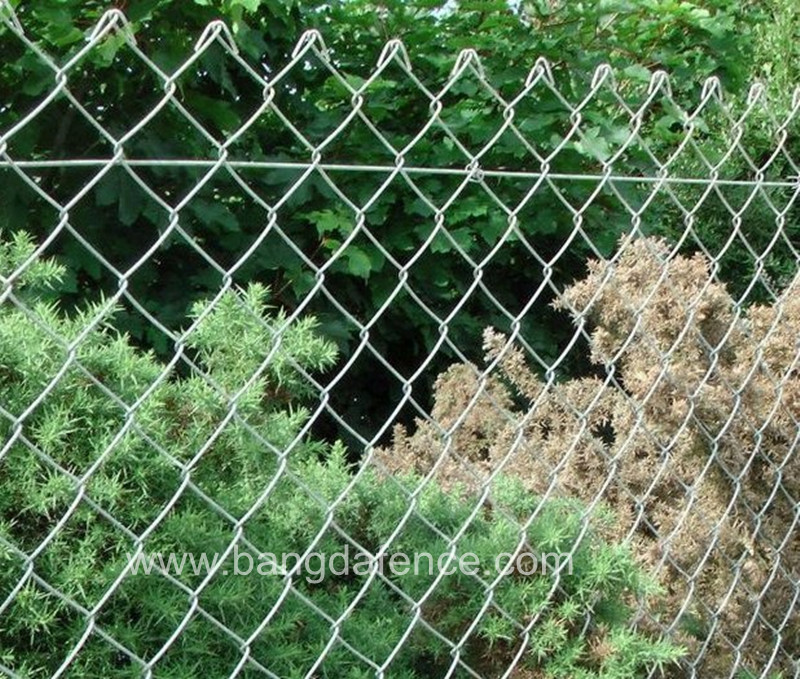 Chain Link Fence BD-08