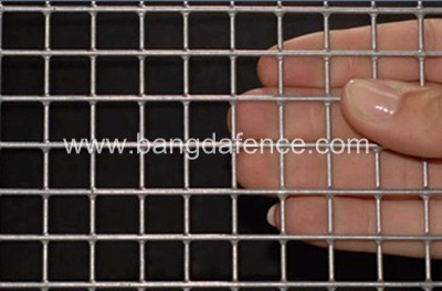 Welded Wire Mesh BD-06