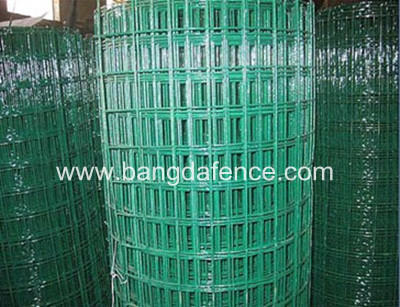 Welded Wire Mesh BD-07