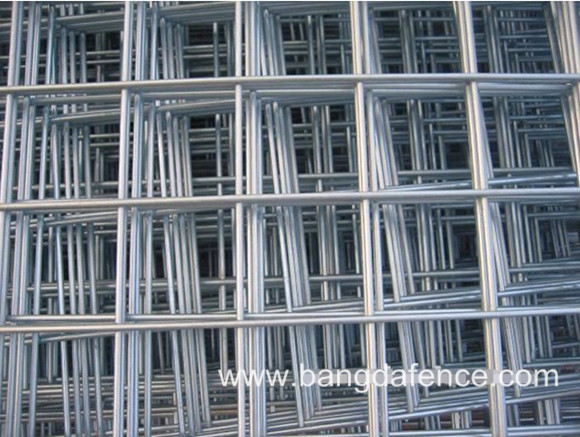 Welded Wire Mesh BD-08