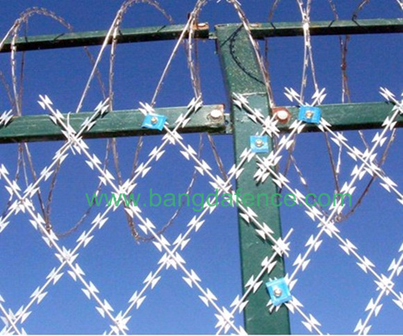 Razor Barbed Wire Mesh BD-02