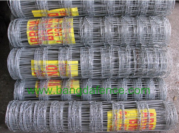Knotted Wire Mesh Fence BD-02